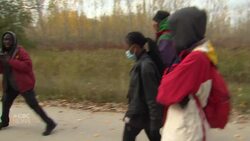 Birding group brings people of colour together outdoors News Clip