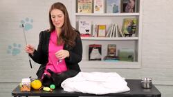 How to Deal with a Cat That Scratches or Bites Instructional Video