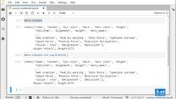 Python for Data Analysis: Step-By-Step with Projects - Renaming Columns Instructional Video