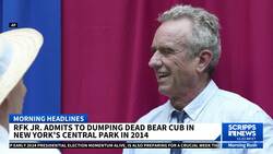RFK Jr. says he dumped a dead bear in New York's Central Park a decade ago News Clip
