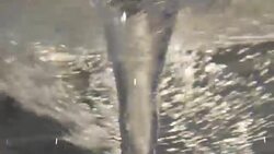 water vortex in glass container Stock Footage