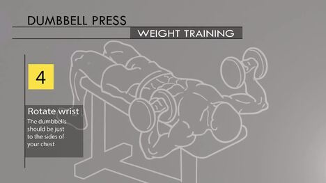 Basic Weight Training Exercises