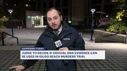 Crucial DNA evidence hearing scheduled today in Gilgo Beach serial killer case News Clip