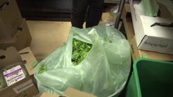 US officials issue warning on tainted lettuce News Clip