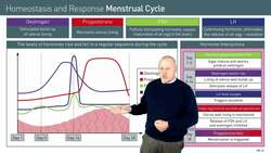 Understanding Female Reproductive Hormones and the Menstrual Cycle Instructional Video