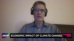 Economist Paul Steele Criticizes John Kerry's Carbon Credit Plan News Clip