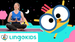 Yoga Class 10: Bedtime Yoga Instructional Video