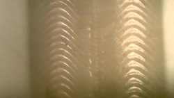 Tiny butterfly proboscis inspires big ideas - Science Nation Instructional Video