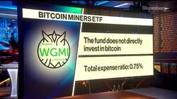 Criticism of Bitcoin Miners Is Overblown: Valkyrie CIO News Clip