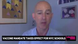 NYC School Vaccine Mandate in Effect; More Schools Likely to Follow News Clip