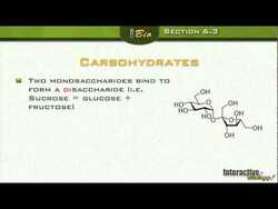 Life Substances - The Chemistry of life Instructional Video