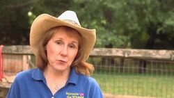 Which Rabbit Breeds Make the Best Pets? Instructional Video