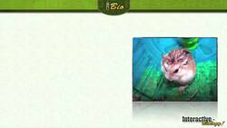 The Nature of Biology - Section 1.3 Instructional Video