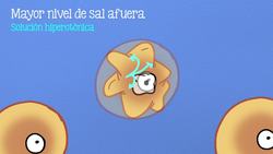 Otras 6 preguntas húmedas y curiosas Instructional Video