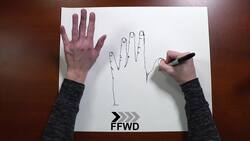 Contour Line Drawing Instructional Video