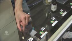 Ontario's marijuana sales law a tricky situation for dispensaries News Clip