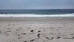 Heightened alert at Jones Beach following suspected shark bite News Clip