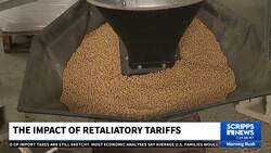 US farmers expected to bear the brunt of retaliatory tariffs News Clip