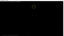 Bash Shell Scripting- Introduction to variables Instructional Video