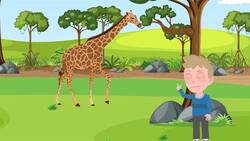 I WONDER - Why Do Giraffes Have A Black Tongue? Instructional Video