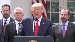 Trump declares virus pandemic a national emergency Instructional Video