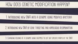 GMOs Instructional Video