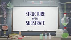 Substitution Reactions - SN1 and SN2 Mechanisms - Crash Course Organic Chemistry Instructional Video