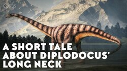 A Short Tale About Diplodocus' Long Neck Instructional Video