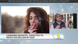 We Break Down the Science of the Munchies on 4:20 News Clip