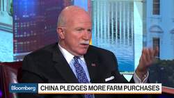 China Expected to Make ‘Enormous’ U.S. Agriculture Purchases: USDA News Clip