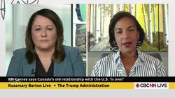 Tariffs ‘self-defeating' for the U.S., says former ambassador News Clip