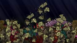 TED-Ed: The big-beaked, rock-munching fish that protect coral reefs | Mike Gil Instructional Video