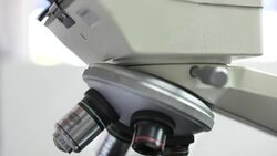 Scientist and bio lab experiment Stock Footage