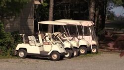 VOICED : De la fiesta a la tragedia: 7 muertos y 177 infectados por el virus en un casamiento en EEUU News Clip