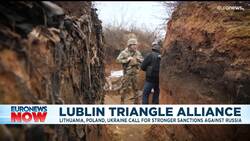 Poland, Lithuania and Ukraine want stronger sanctions against Russia News Clip