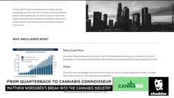 Former Pro-Footballer Uses Athletic Training to Help Cannabis Businesses Grow News Clip