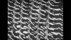 Soldiers Cast Shadows on Ground as they March in Parade Stock Footage
