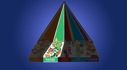 Rice Cake Face Instructional Video