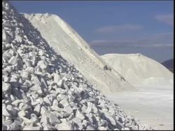 Digestion and Excretion Review Instructional Video