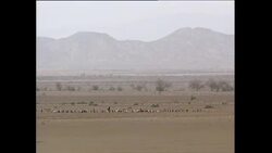 Kakuma refugee camp in Kenya News Clip