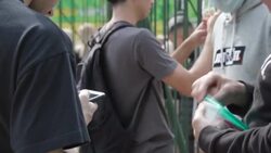 CLEAN : South America goes football sticker crazy ahead of World Cup News Clip