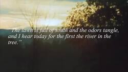 Intimate Verses: the Letters and Poetry of Emily Dickinson Instructional Video