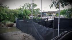 How Do You Perform a Health Checkup for 90 Flamingos? The Flamingo Roundup Instructional Video