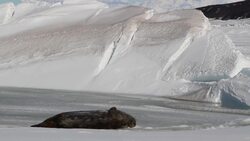 OIB: McMurdo Accomplished, West Antarctica Calling Instructional Video