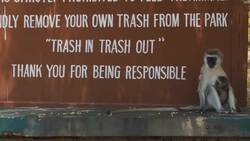 How Altruism Evolved in Humans Instructional Video