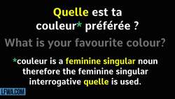 French Made Easy: QUEL, QUELS, QUELLE or QUELLES ??? Instructional Video