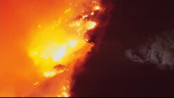 Black Rock resident says Los Angeles wildfires are 'heartbreaking' News Clip