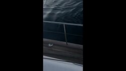 Aggressive killer whales damage boat off coast of southern Spain News Clip