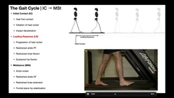 The Gait Cycle [Part 1] | Initial Contact (IC) → Midstance (MSt) Instructional Video