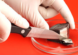 Alkali metal Instructional Video